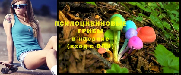 первитин Алексин