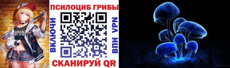 Псилоцибиновые грибы Magic Shrooms  Богучар 
