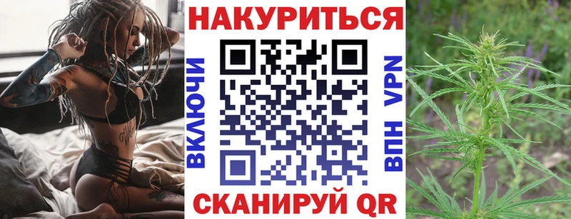 omg как войти  где найти наркотики  Богучар  Конопля гибрид 